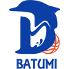bat