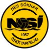 nsi